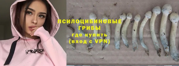 прущий лед Аркадак