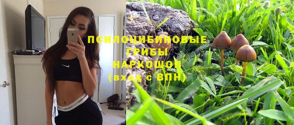 spice Армянск