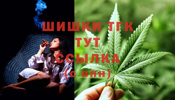 spice Армянск