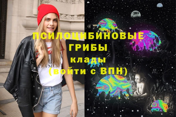 МДПВ Арсеньев