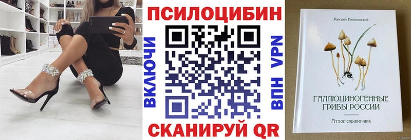 Псилоцибиновые грибы GOLDEN TEACHER Почеп